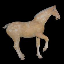 Cheval sauvage en terre cuite ocre